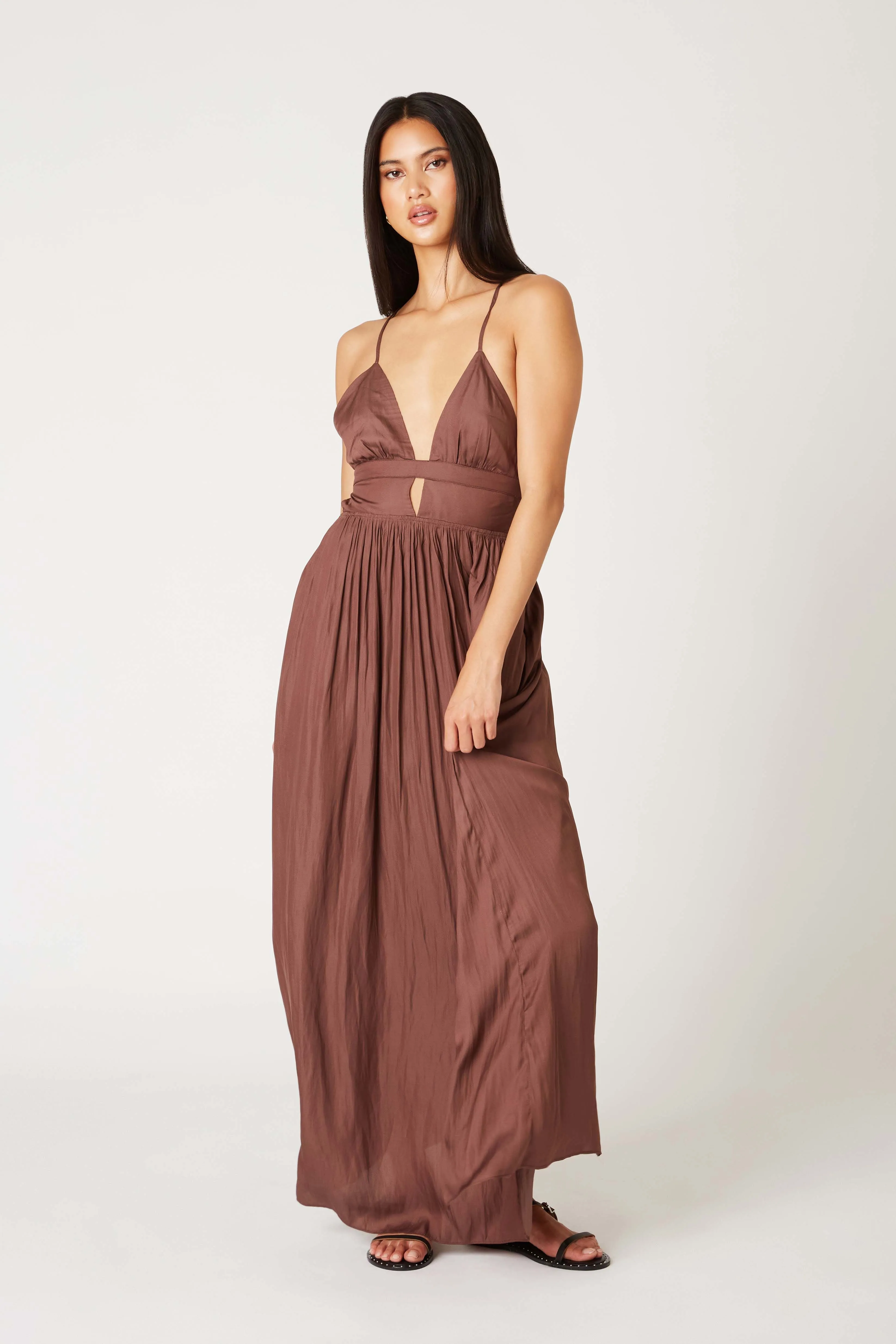 Moment To Last Maxi Dress Brown