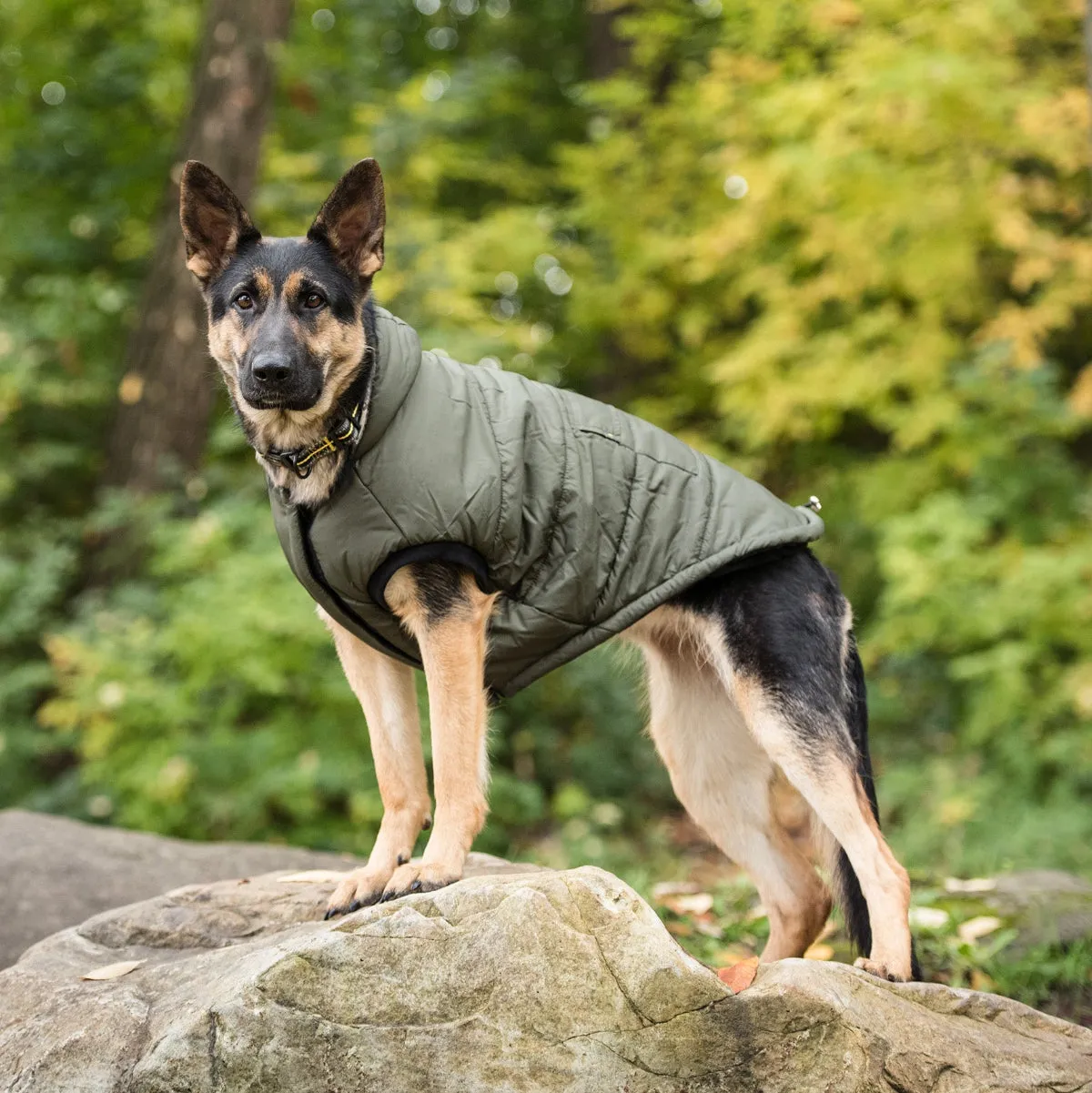 US Army Parka Dog Jacket Dark Camo