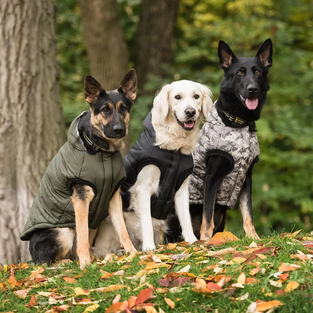 US Army Parka Dog Jacket Dark Camo